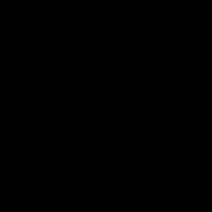 Meet your Posher, Bridget